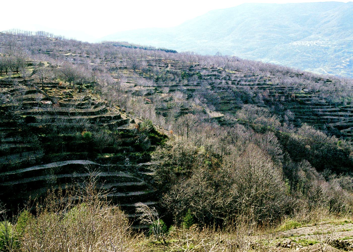 Valle del Jerte